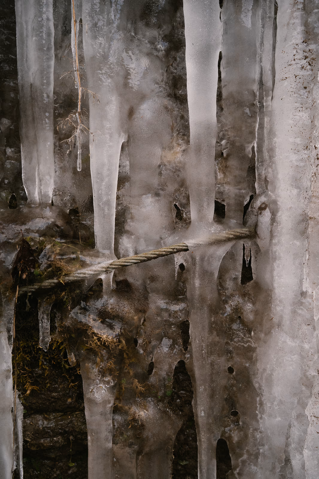 Hiver — image 9 sur 10