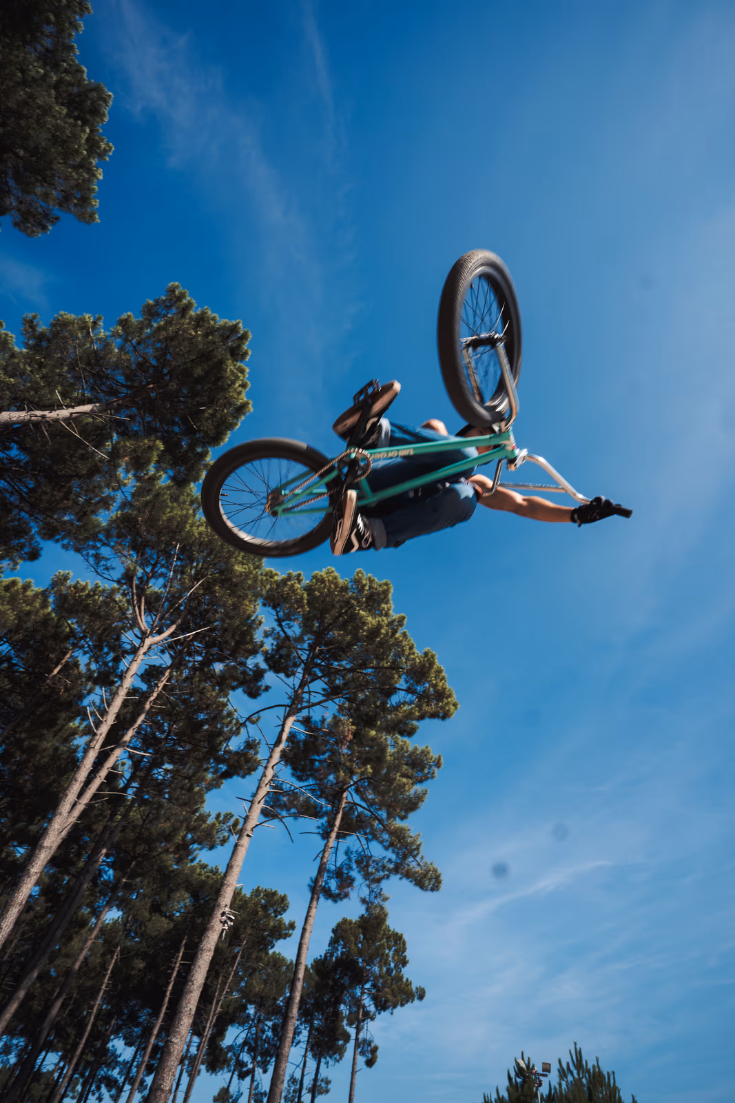 La Cabane — Arcachon — image 11 sur 28, Le skatepark