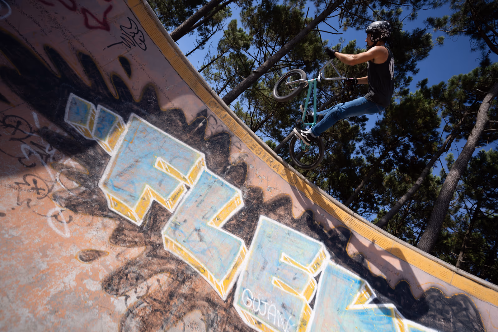 La Cabane — Arcachon — image 13 sur 28, Le skatepark