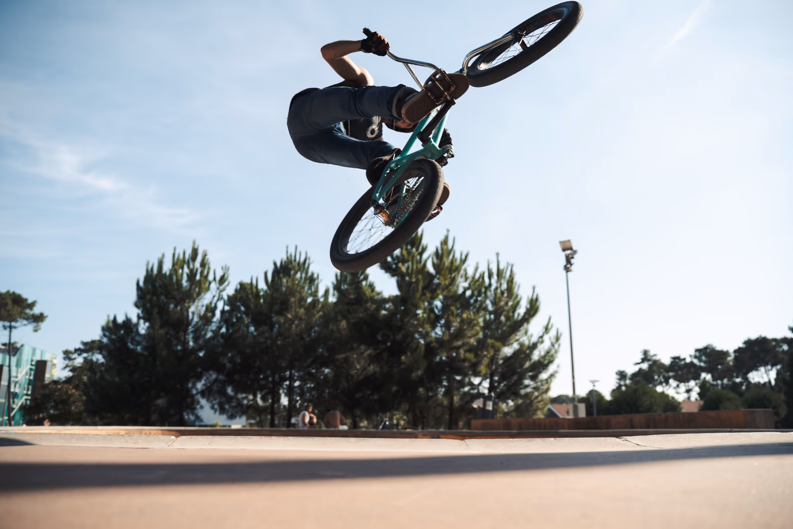 La Cabane — Arcachon — image 15 sur 28, Le skatepark