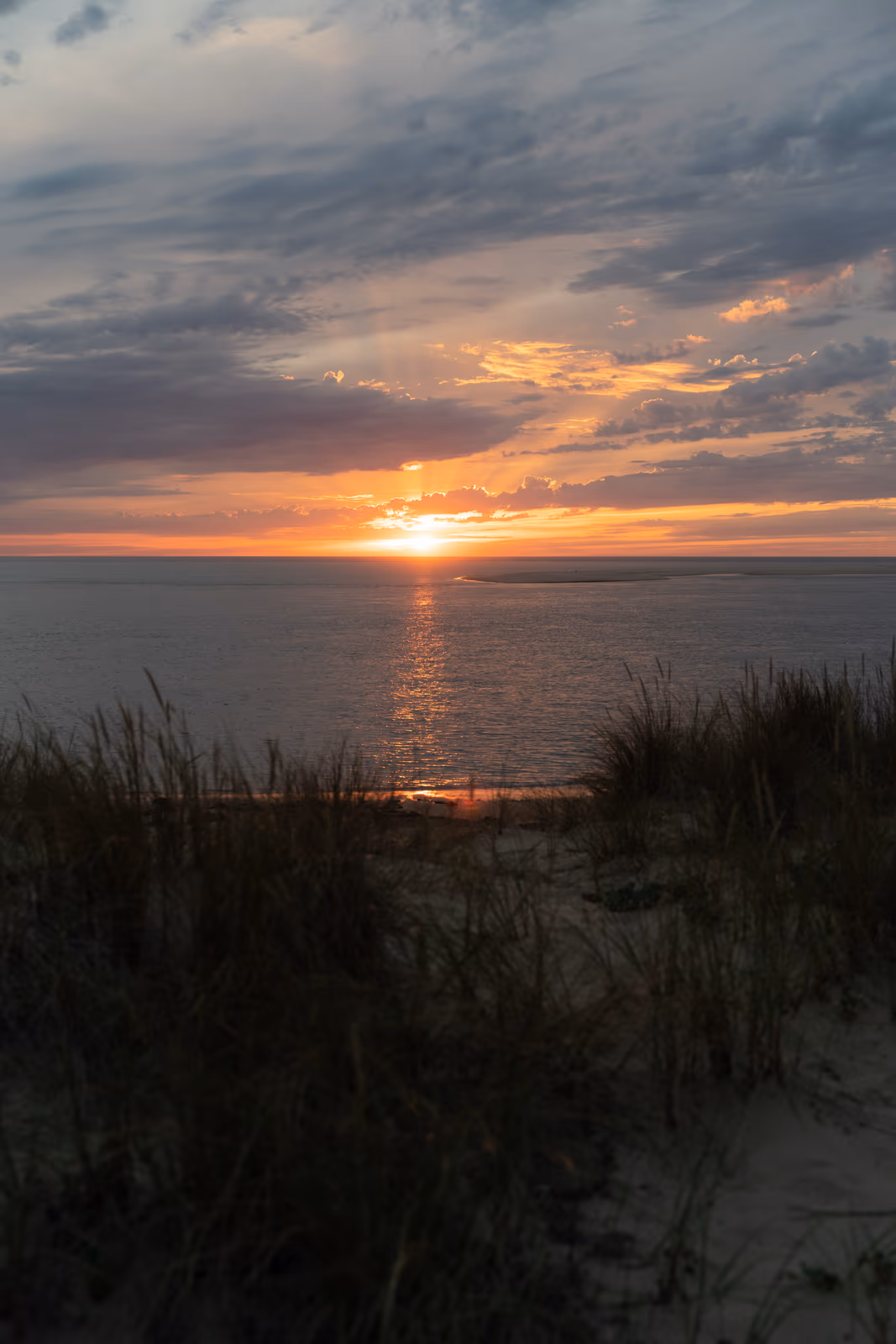 La Cabane — Mai–juin 2022 — image 9 sur 31