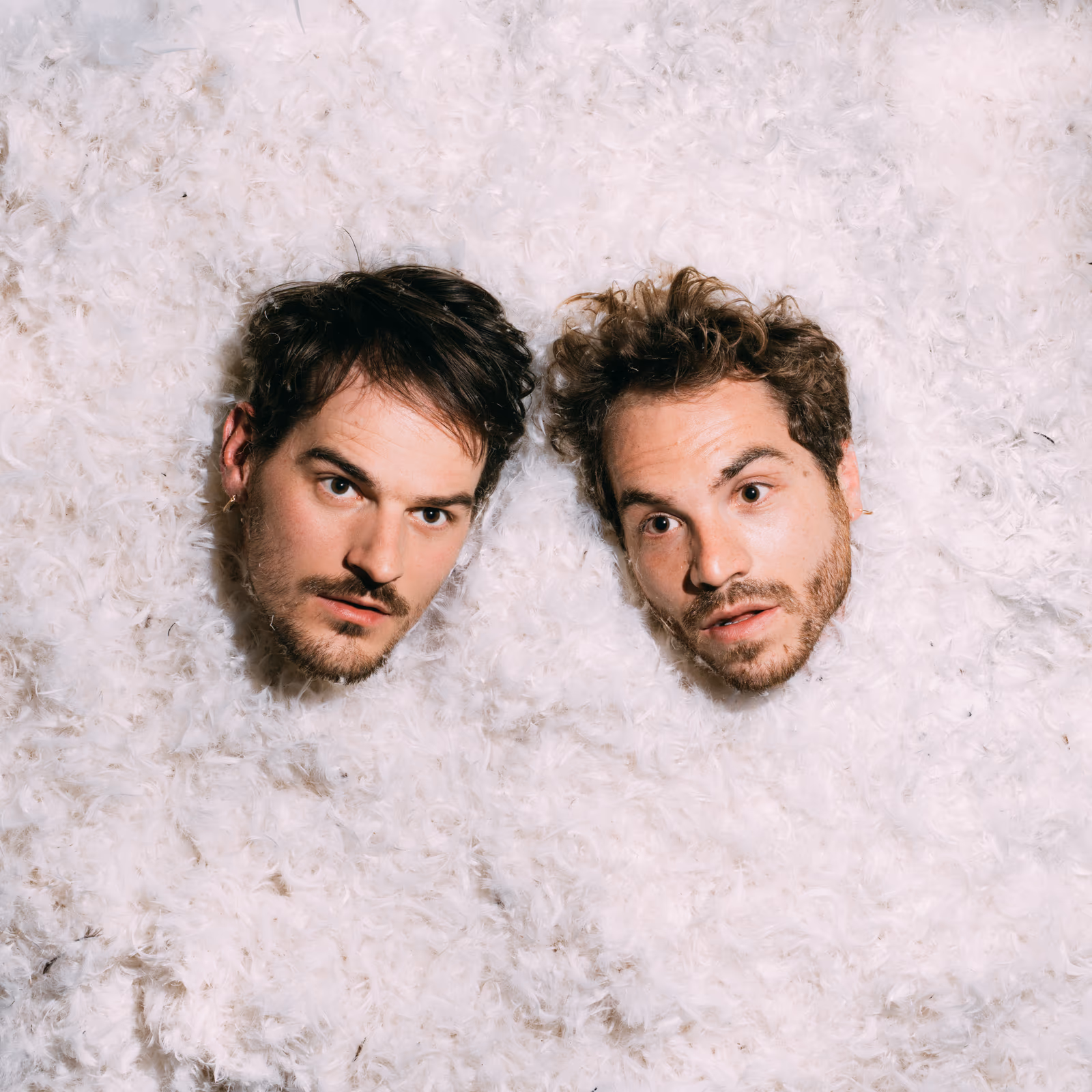 Panache & Grabuge — Hybrid Forest DJ Set / Direction Artistique — image 1 sur 6