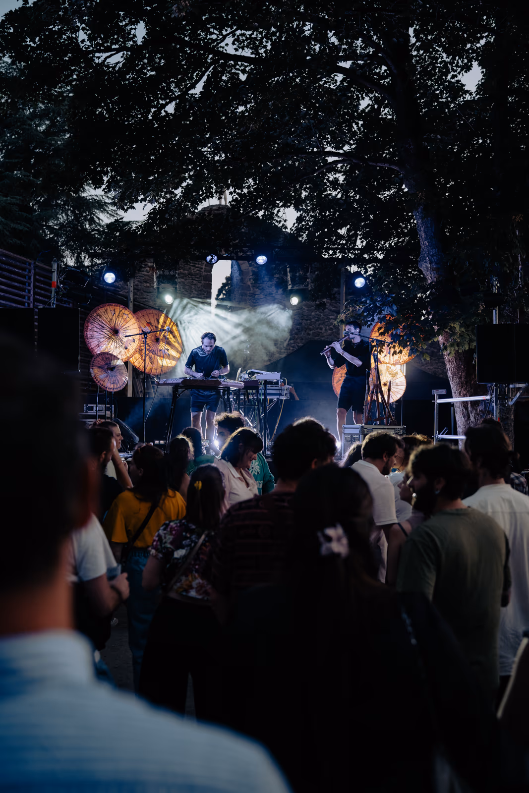 Panache & Grabuge — Hybrid Forest DJ Set / Direction Artistique — image 5 sur 6