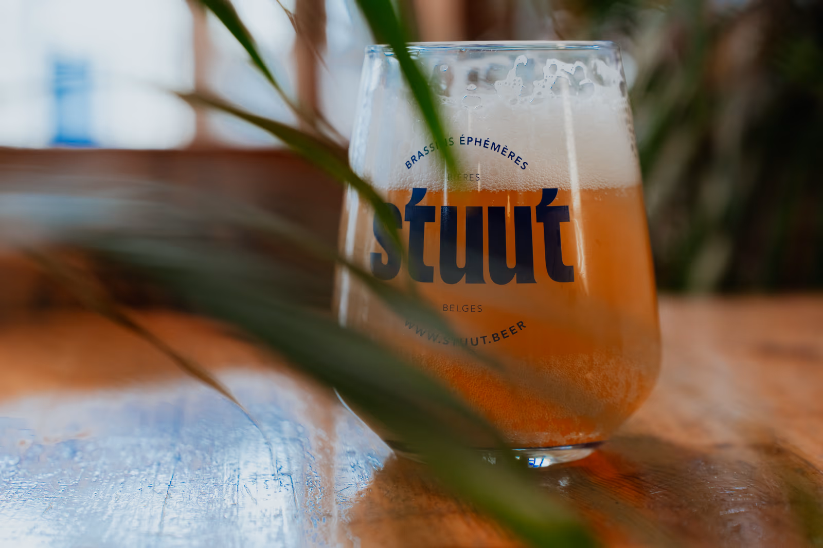 Stuut — image 1 sur 81, Hop To You, 2024