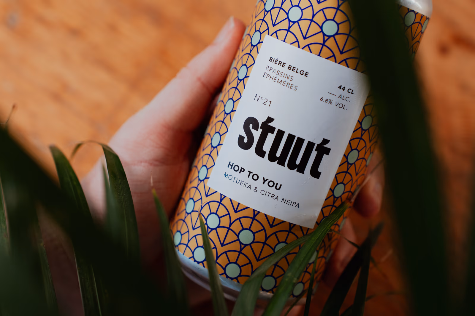 Stuut — image 2 sur 81, Hop To You, 2024