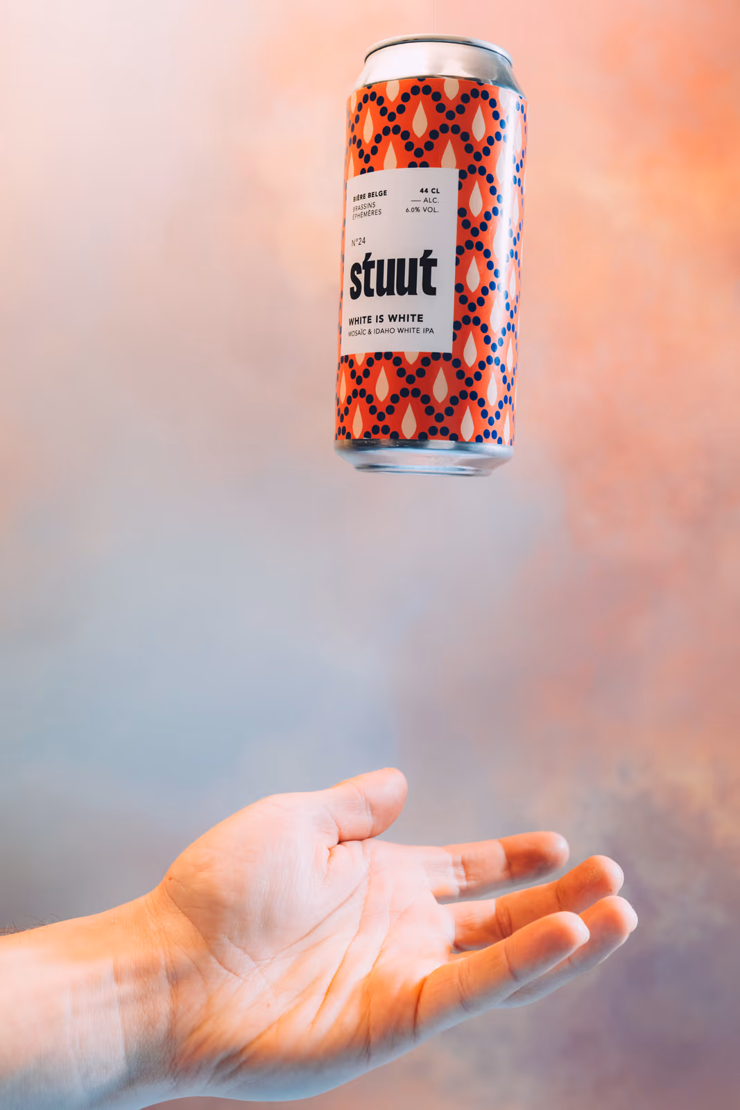 Stuut — image 30 sur 81, WIW, 2025