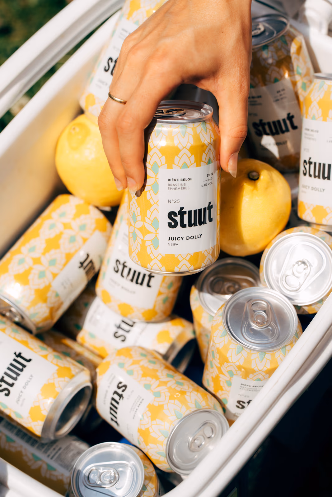 Stuut — image 43 sur 81, Juicy Dolly, au jardin, 2025